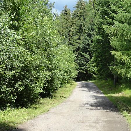 Ski-Bike Certovka Harrachov Εξωτερικό φωτογραφία