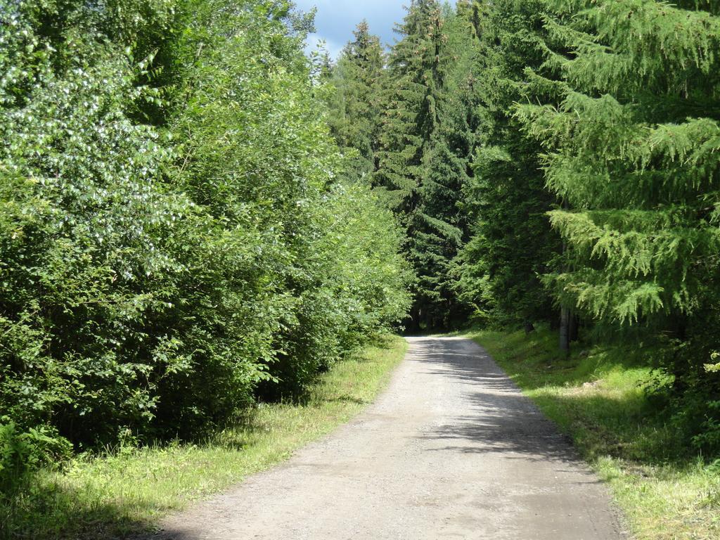Ski-Bike Certovka Harrachov Εξωτερικό φωτογραφία